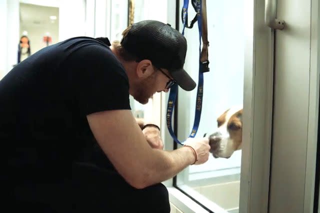 <p>Jinx</p> Chris Evans visiting adoptable dogs at Animal Haven in New York City