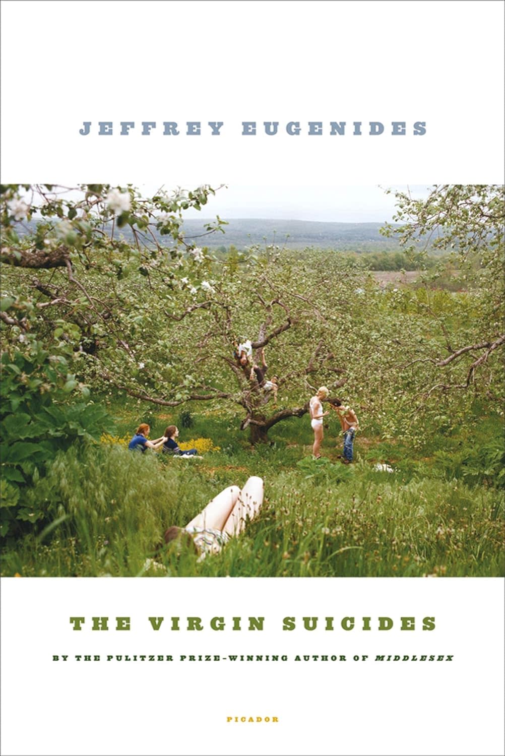 "The Virgin Suicides" by Jeffrey Eugenides.