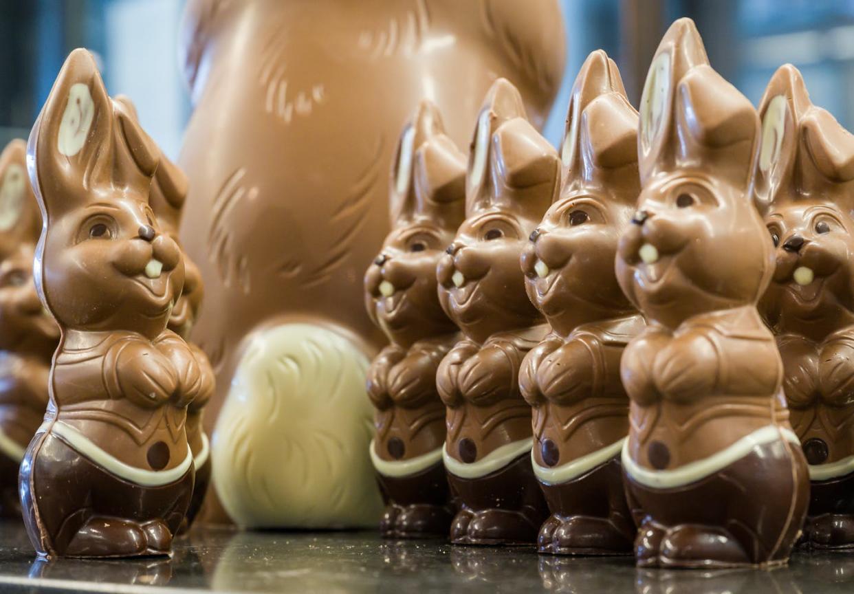 <span class="caption">Underneath the shiny wrapper, a chocolate bunny is a fermented food.</span> <span class="attribution"><a class="link " href="https://www.gettyimages.com/detail/news-photo/march-2021-brandenburg-hornow-chocolate-easter-bunnies-are-news-photo/1231995539" rel="nofollow noopener" target="_blank" data-ylk="slk:Patrick Pleul/picture alliance via Getty Images;elm:context_link;itc:0;sec:content-canvas">Patrick Pleul/picture alliance via Getty Images</a></span>