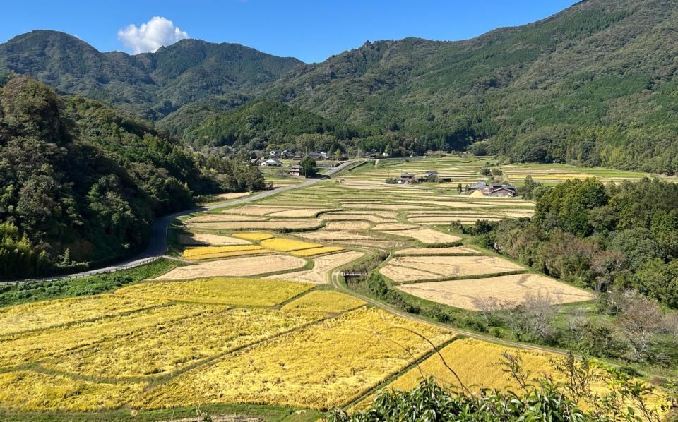 View from the heart of the Kunisaki mandala