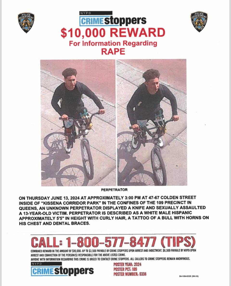 The NYPD informational poster wanted (NYPD)