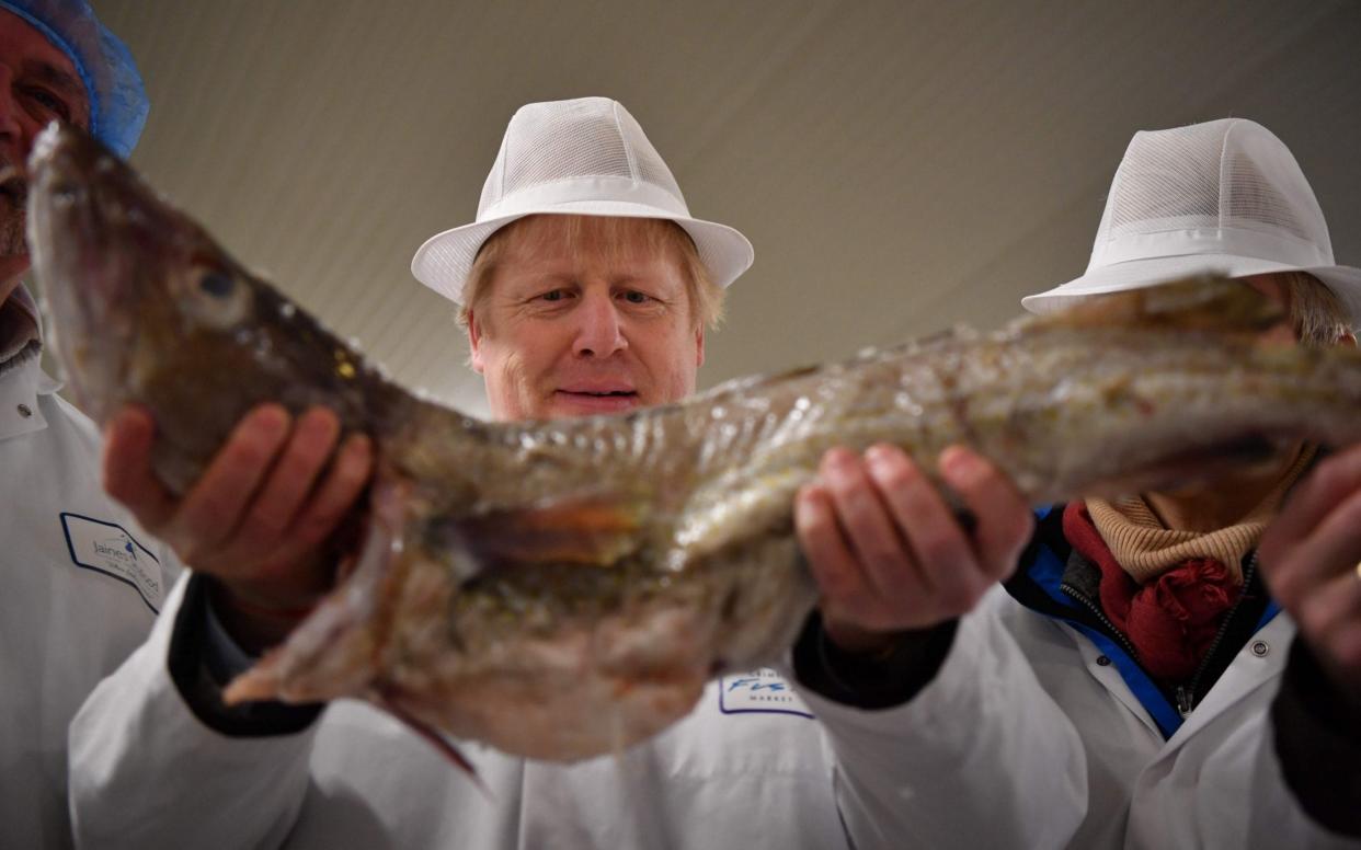 Boris Johnson will sideline the SNP over fishing boost - BEN STANSALL/AFP