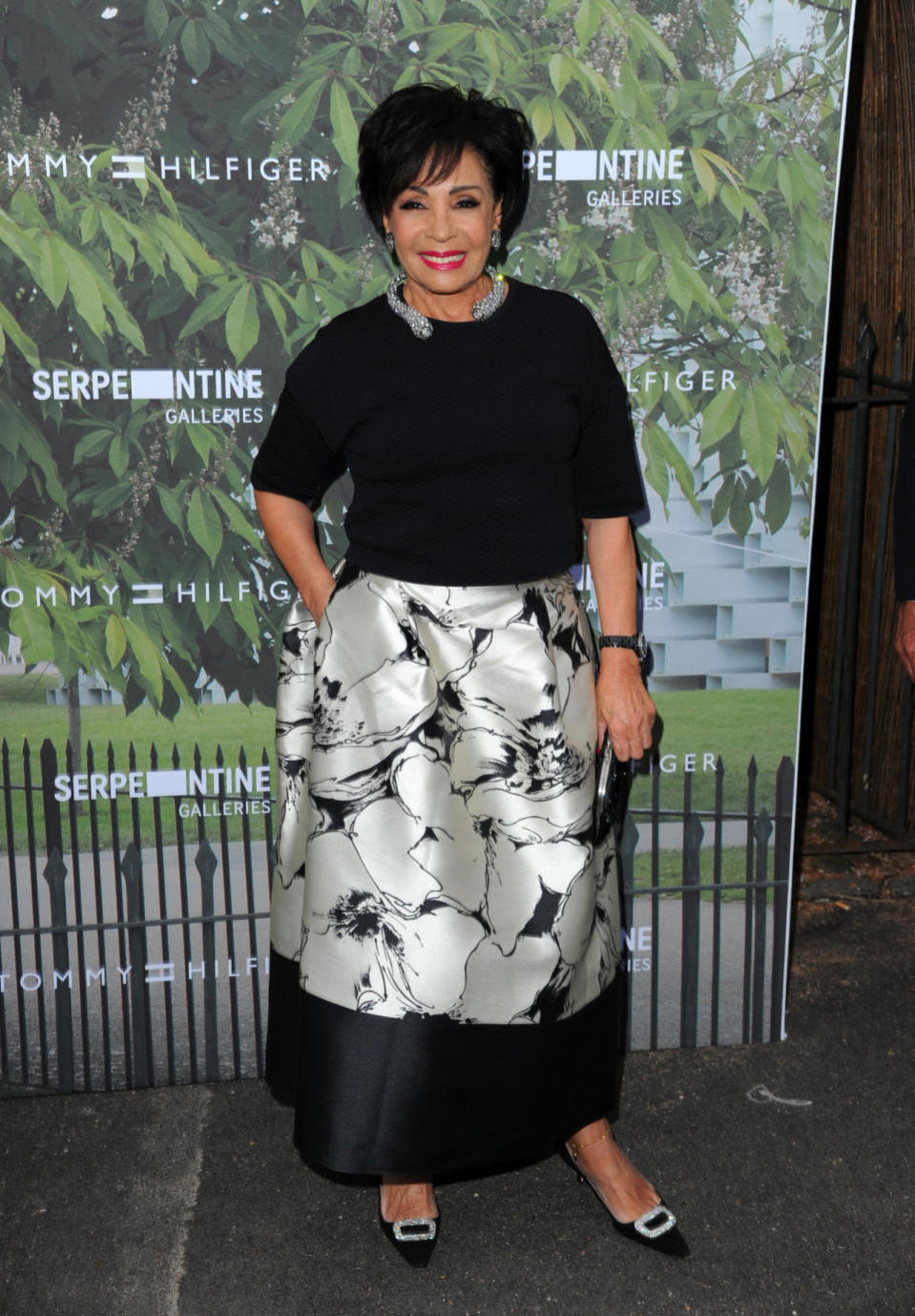HIT: Dame Shirley Bassey at the Serpentine Summer Party 