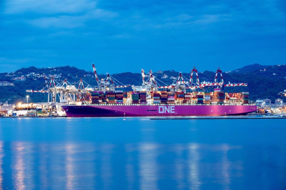 In 1992 she made headlines after introducing a series of containerships whose hulls and superstructures were painted pink