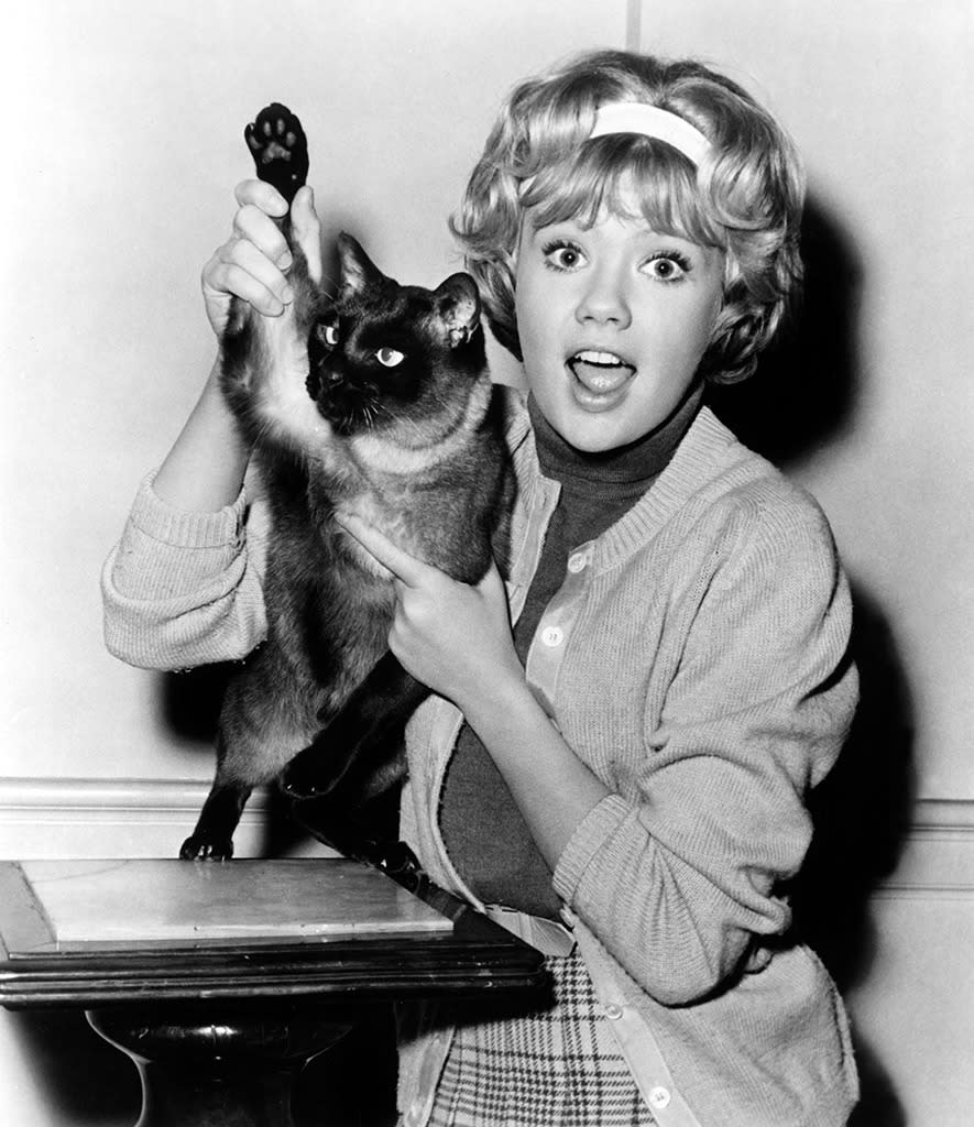 D.C., ‘That Darn Cat’ (1965)