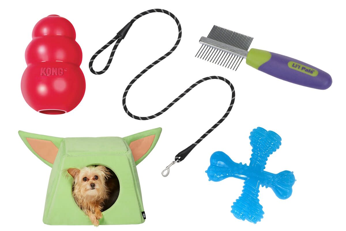 Chewy Pet Supplies