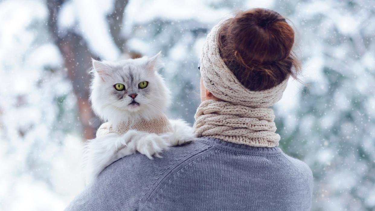  Cat being held by owner outside and looking over her shoulder at camera while the snow falls around them. 