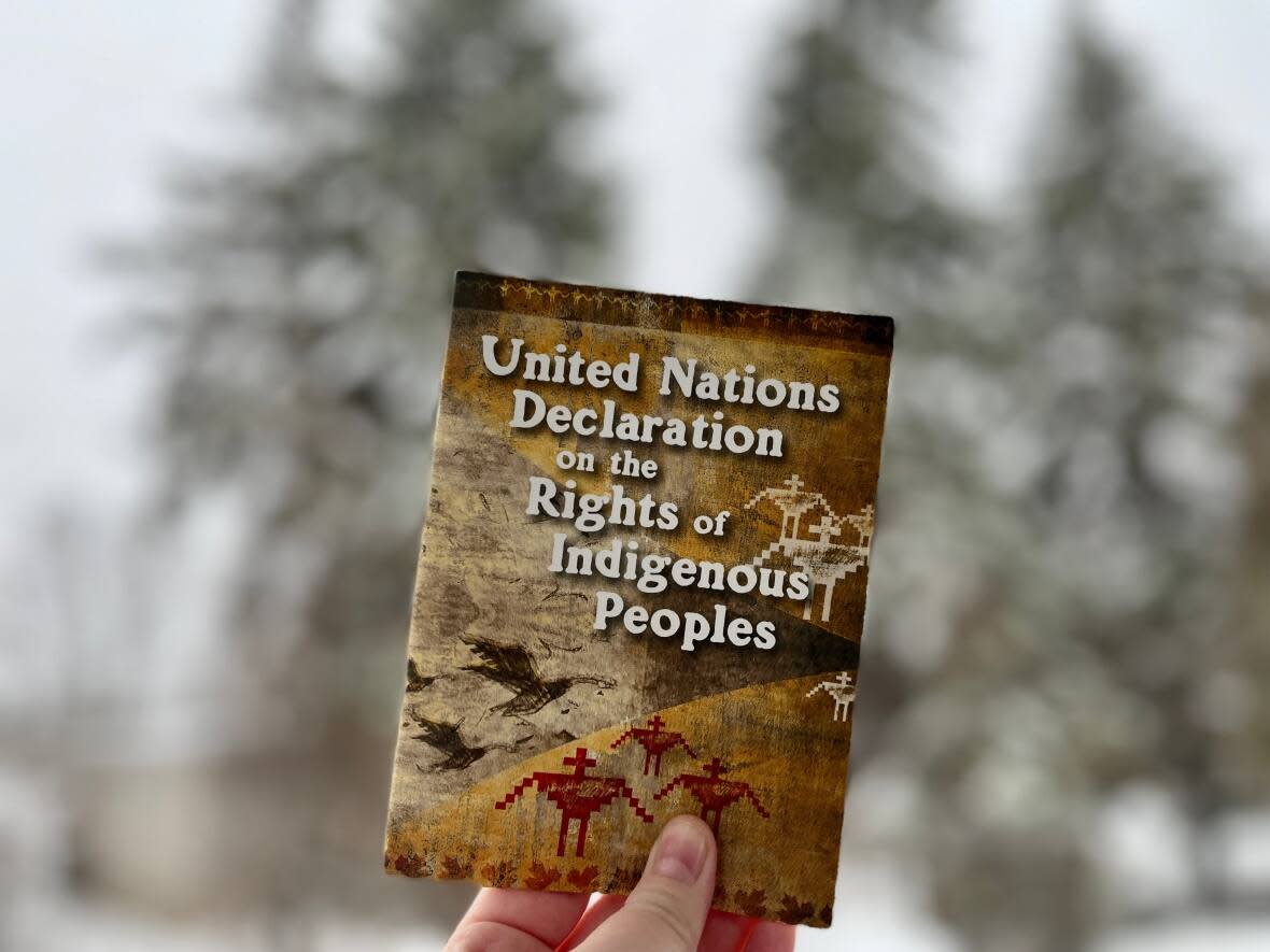 The United Nations Declaration on the Rights of Indigenous Peoples contains 26 articles affirming inherent and pre-existing collective rights and human rights of Indigenous peoples. (Ka’nhehsí:io Deer/CBC - image credit)