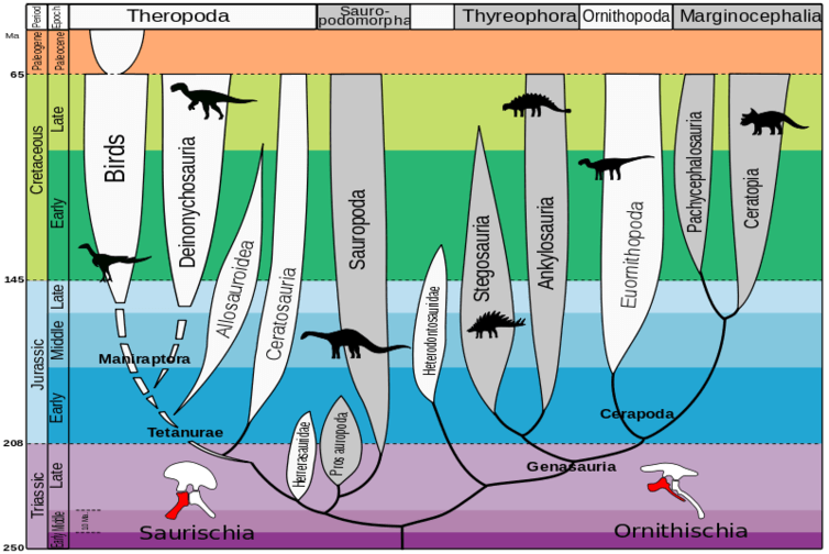 <span class="caption">The old family tree.</span> <span class="attribution"><a class="link rapid-noclick-resp" href="https://commons.wikimedia.org/wiki/File:Evolution_of_dinosaurs_EN.svg" rel="nofollow noopener" target="_blank" data-ylk="slk:Zureks/Wikimedia">Zureks/Wikimedia</a>, <a class="link rapid-noclick-resp" href="http://creativecommons.org/licenses/by-sa/4.0/" rel="nofollow noopener" target="_blank" data-ylk="slk:CC BY-SA">CC BY-SA</a></span>
