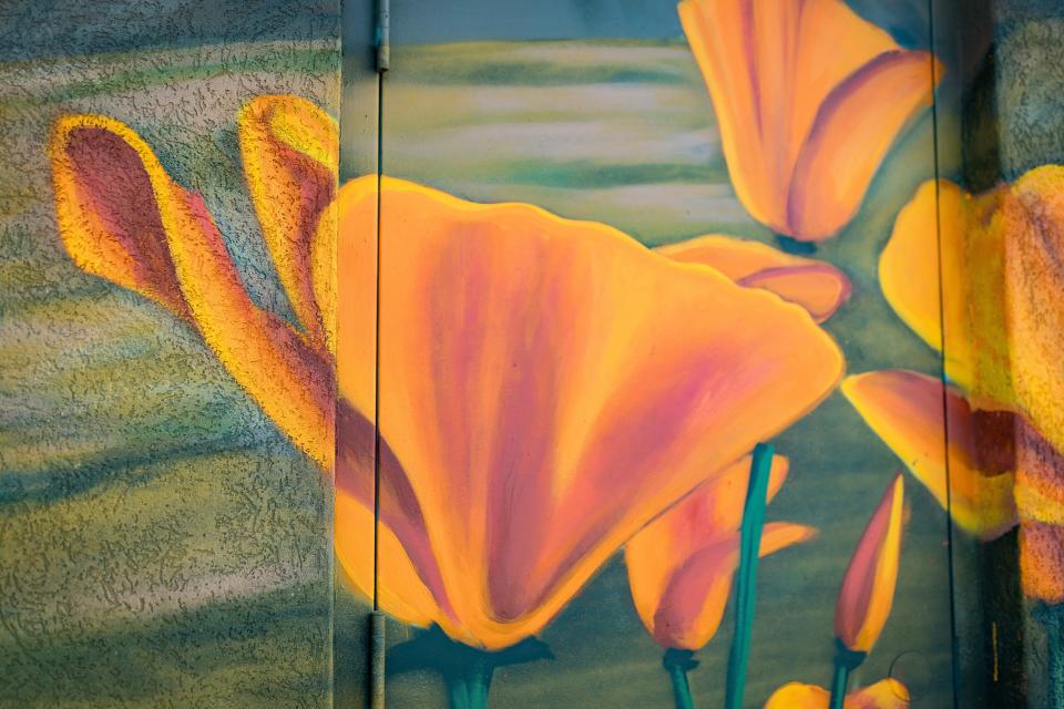 A detail of a poppy in El Paso muralist Jesus "Cimi" Alvarado's mural at the El Paso Museum of Archaeology is shown Thursday, June 22, 2023. It commemorates Castner Range National Monument.