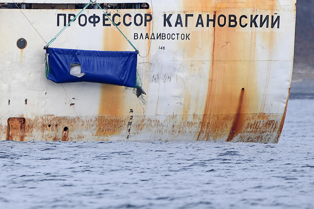 PRIMORYE TERRITORY, RUSSIA - NOVEMBER 8, 2019: Beluga whales from the controversial Adaptation Centre for Sea Going Mammals located near Nakhodka, unofficially known as 'whale jail', are released from the Professor Kaganovsky research vessel into the wild in the Sea of Japan, off Russia's Pacific coast; on October 24, a board of experts at the Russian Research Institute of Fisheries and Oceanography (VNIRO) decided that the remaining 50 beluga whales kept in the adaptation centre be released in the Sea of Japan, off the Lazovsky Nature Reserve, and not in the Sea of Okhotsk as was planned before; in 2018, it was discovered that 90 wild belugas and 11 wild orcas were kept in the so-called 'whale prison' in Primorye Territory to be sold to Chinese amusement parks. Yuri Smityuk/TASS (Photo by Yuri Smityuk\TASS via Getty Images)