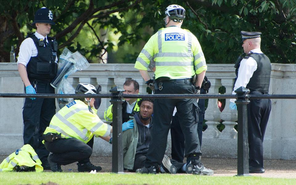 A man is detained by police on The Mall near Buckingham Palace - Credit: Eddie Mulholland