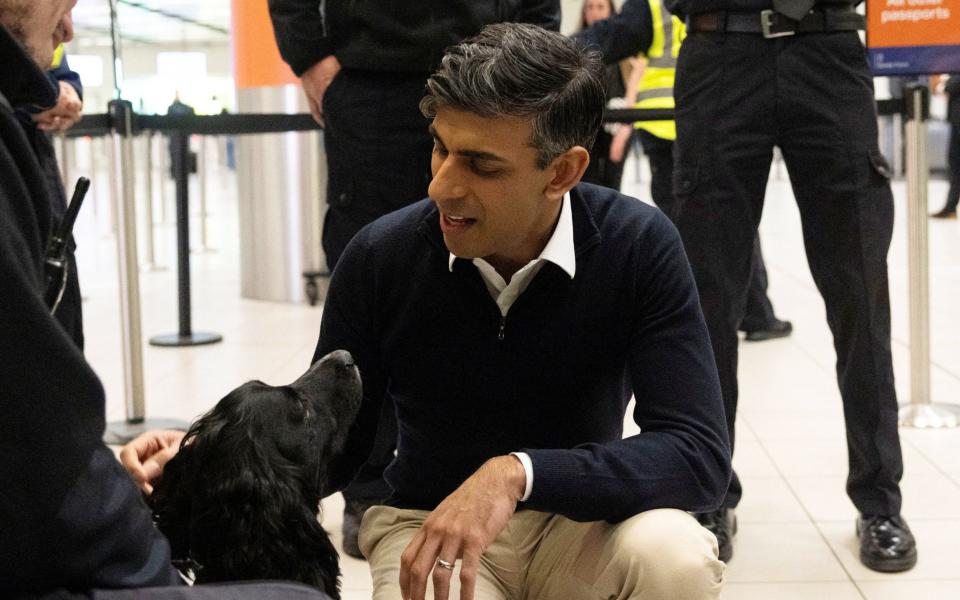 Rishi Sunak meets Border Force detector dog Jinx during a visit to Gatwick Airport, West Sussex, this afternoon