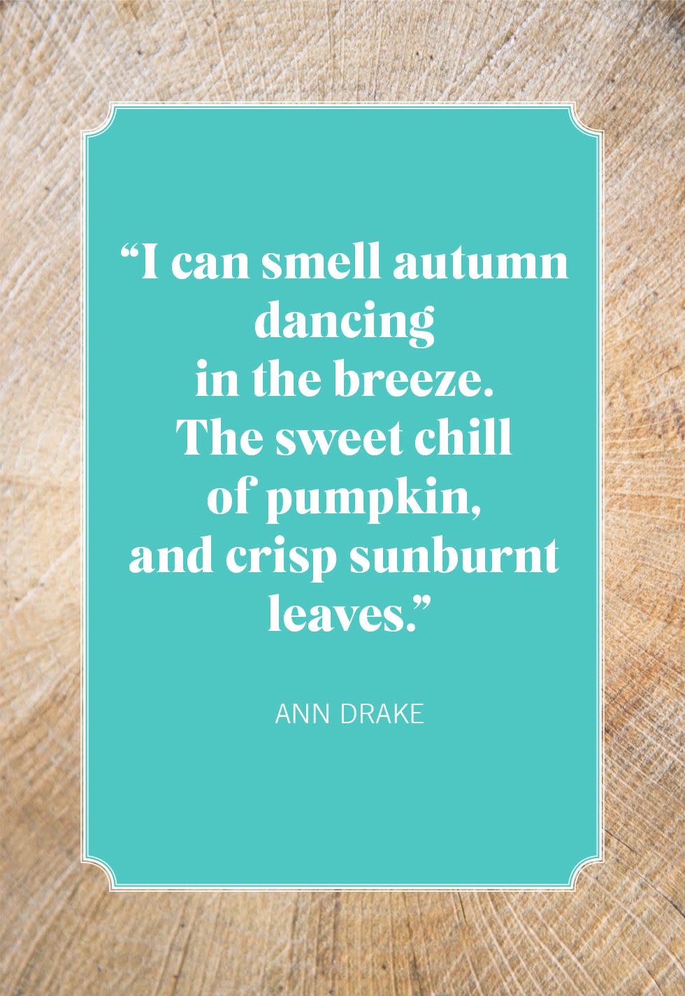 ann drake pumpkin quotes