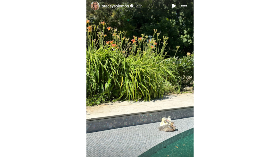 Stacey Solomon's ducks loved the swimming pool