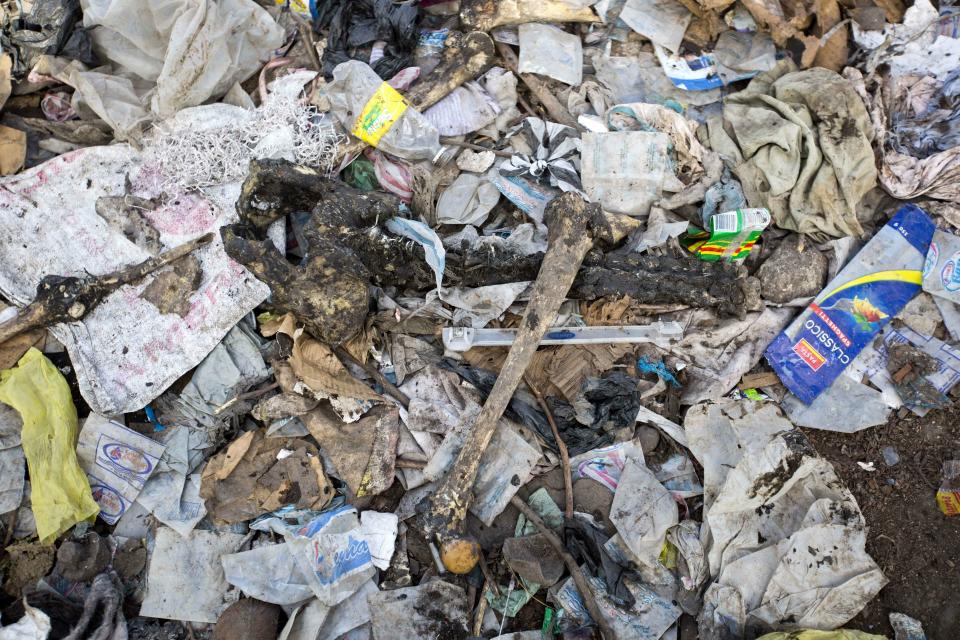 In this Nov. 21, 2018 photo, human bones lay amid garbage at a pig farm where witnesses said bodies from a Nov. 13 massacre were thrown to feed the animals in the La Saline slum of Port-au-Prince, Haiti. "The majority of people who died were innocent people," said Raphael Louigene, the social-work coordinator for Fondation St. Luc, a Catholic charity that works in the slums of Port-au-Prince. (AP Photo/Dieu Nalio Chery)