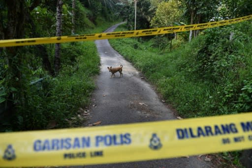 Police are not ruling out criminal elements in the case, have questioned witnesses and are investigating witness accounts of a truck heard early on the morning the girl disappeared