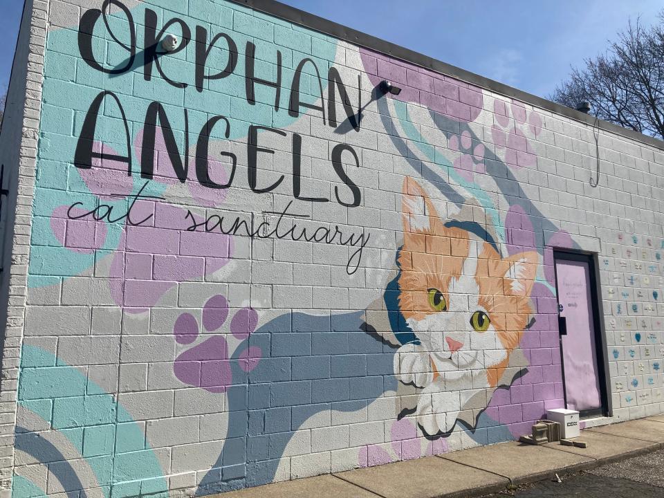 This is a mural on the west wall of Orphan Angels Cat Sanctuary and Adoption Center at 5439 West Lake Road.