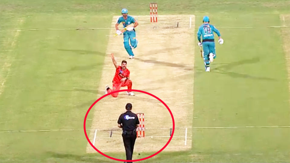 The umpire, pictured here giving Ben Cutting out in the Big Bash.