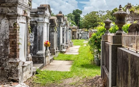 cemetery, new orleans - Credit: MEINZAHN