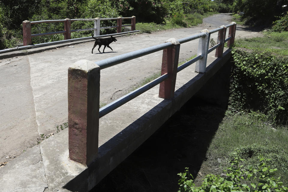 A dog walks on the bridge where a group of soldiers and police blocked Esmeralda Dominguez during a anti-gang operations backed by the state of emergency decreed by the government of President Nayib Bukele, in the Sisiguayo community in Jiquilisco, in the Bajo Lempa region of El Salvador, Thursday, May 12, 2022. “We know what we’re doing,” a soldier told Dominguez’s aunt who told authorities Dominguez was no criminal, before they loaded the young woman into a truck on April 19, leaving her black motorcycle beside the road. (AP Photo/Salvador Melendez)