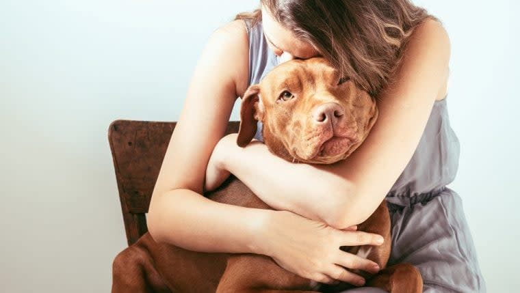 Top Reasons People Surrender Dogs