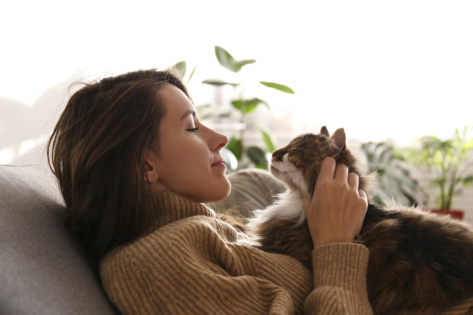 Wie gewinnt man die Aufmerksamkeit einer Katze? (Symbolbild: Getty)