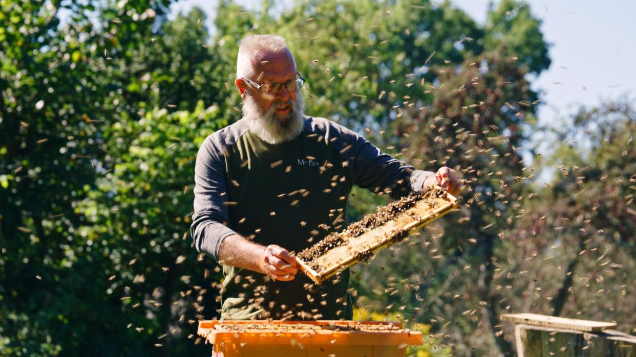 "HIVE," a documentary about a Pittsburgh-area beekeeper, will screen Sunday at the Lindsay Theater in Sewickley. The 25-minute documentary is directed by Moon Township resident Ryan Matthew Rust,