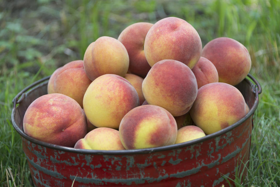 Chopped fresh or frozen peaches, shaved red onion, barbecue sauce, fresh cilantro