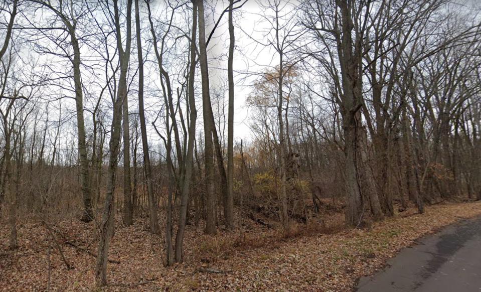Lot #10027 in Plainfield Township, Kent County. Provided by the Michigan Department of Natural Resources.