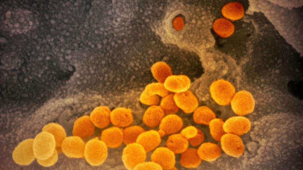 Das Coronavirus passt sich durch Mutationen ständig seinem neuen Wirt, dem Menschen, an. Wie gefährlich die neue Virusvariante ist, wurde noch nicht abschließend geklärt.