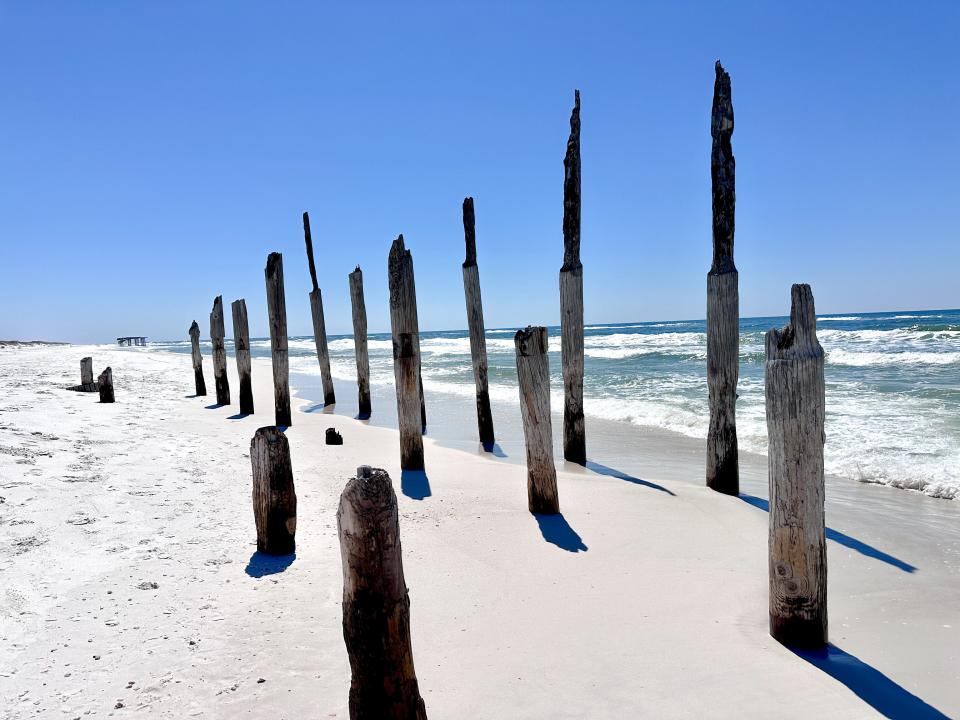 Wooden beams in sand along beach along Shell Island with waves washing up on the sand in the background. A bright-blue sky is above