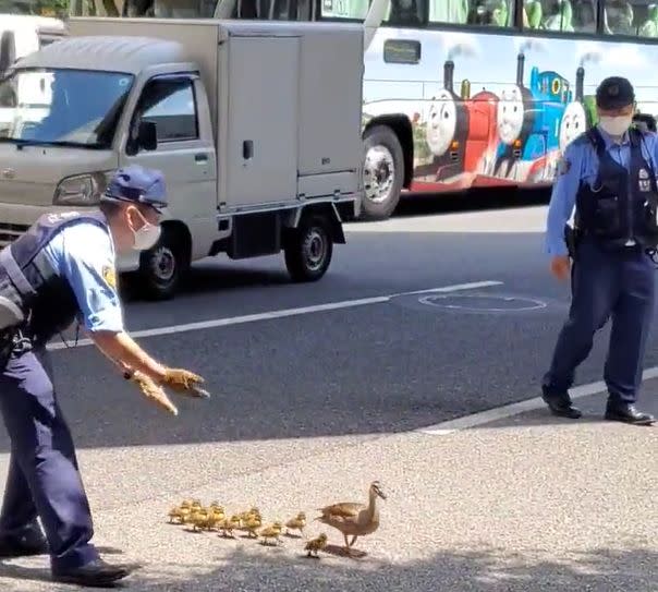 ▲一旁的警察叔叔趕緊過來引導這些「迷途鴨鴨」。（圖／Twitter：jwkachina）