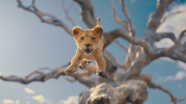 <p>Disney</p> A young Mufasa in 'Mufasa: The Lion King'