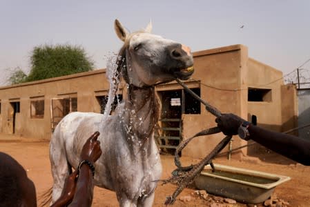 The Wider Image: Khartoum's Equestrian Club struggles amid Sudan upheaval