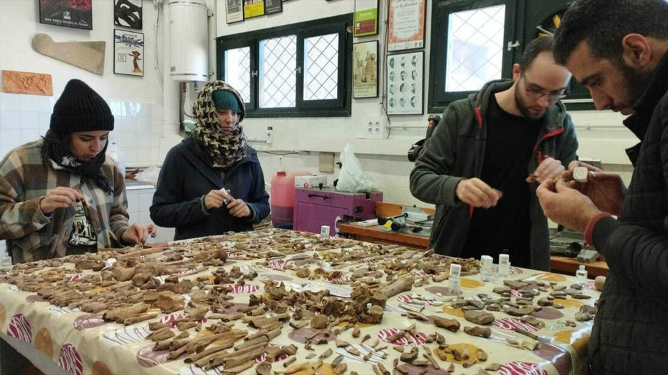 The laboratory work for the excavations in the cave was carried out at the Museu Terra (Terra Museum) in the nearby village of L'Espluga de Francolí.