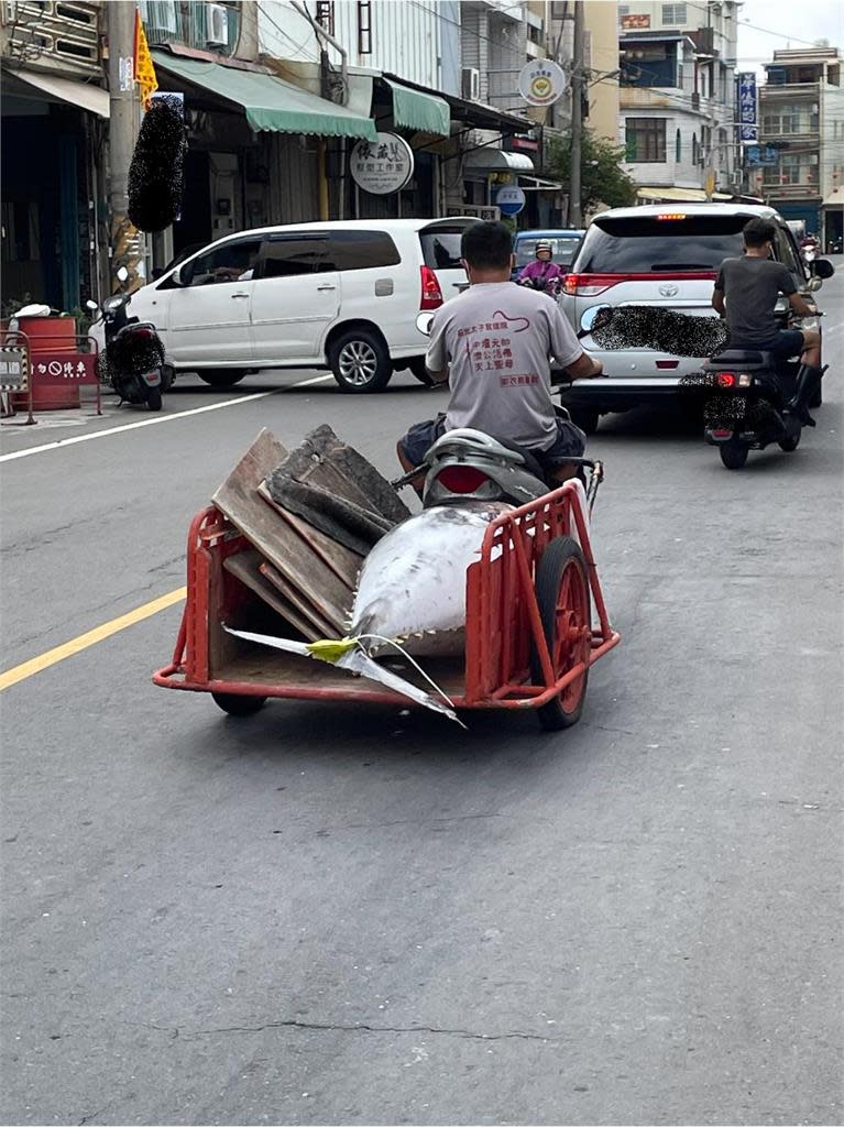 屏東馬路驚見「百萬名車」霸氣外送！畫面曝光網嗨翻：不能小看牠