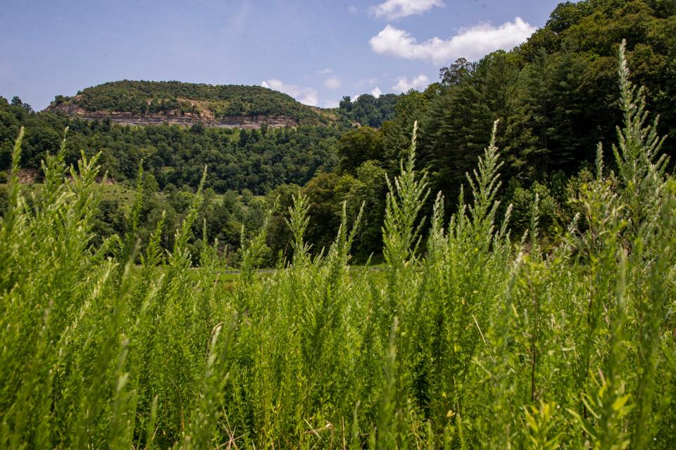 A view of the side of the mountain where Tracy Neece owns his portion of the property that has been strip mined in Floyd County, Kentucky. July 15, 2021