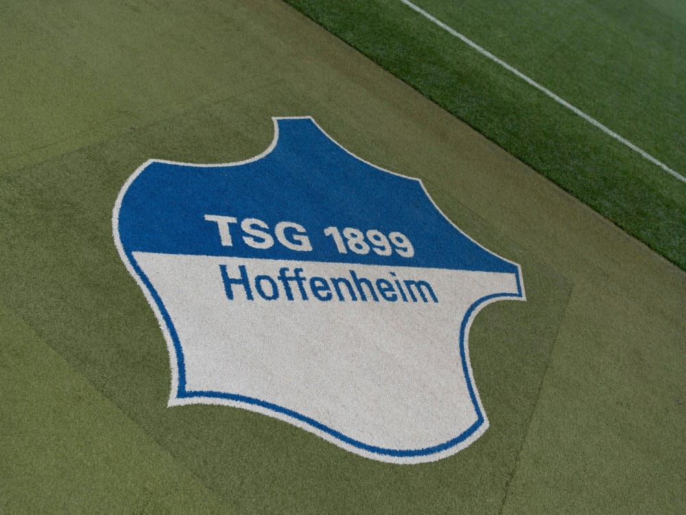 Die TSG Hoffenheim erweitert ihre Geschäftsführung (IMAGO/Eibner-Pressefoto/Wolfgang Frank)