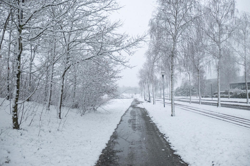 Schneebedeckte Straße und Bäume. Schneesturm trifft die Niederlande und Belgien während einer Wetterperiode mit niedrigen Temperaturen. Heftiger Schneefall an einem kalten Tag in einem Wohngebiet in der Nähe von Eindhoven im Park Meerland. Eindhoven, Niederlande am 8. März 2023 (Foto von Nicolas Economou/NurPhoto über Getty Images)