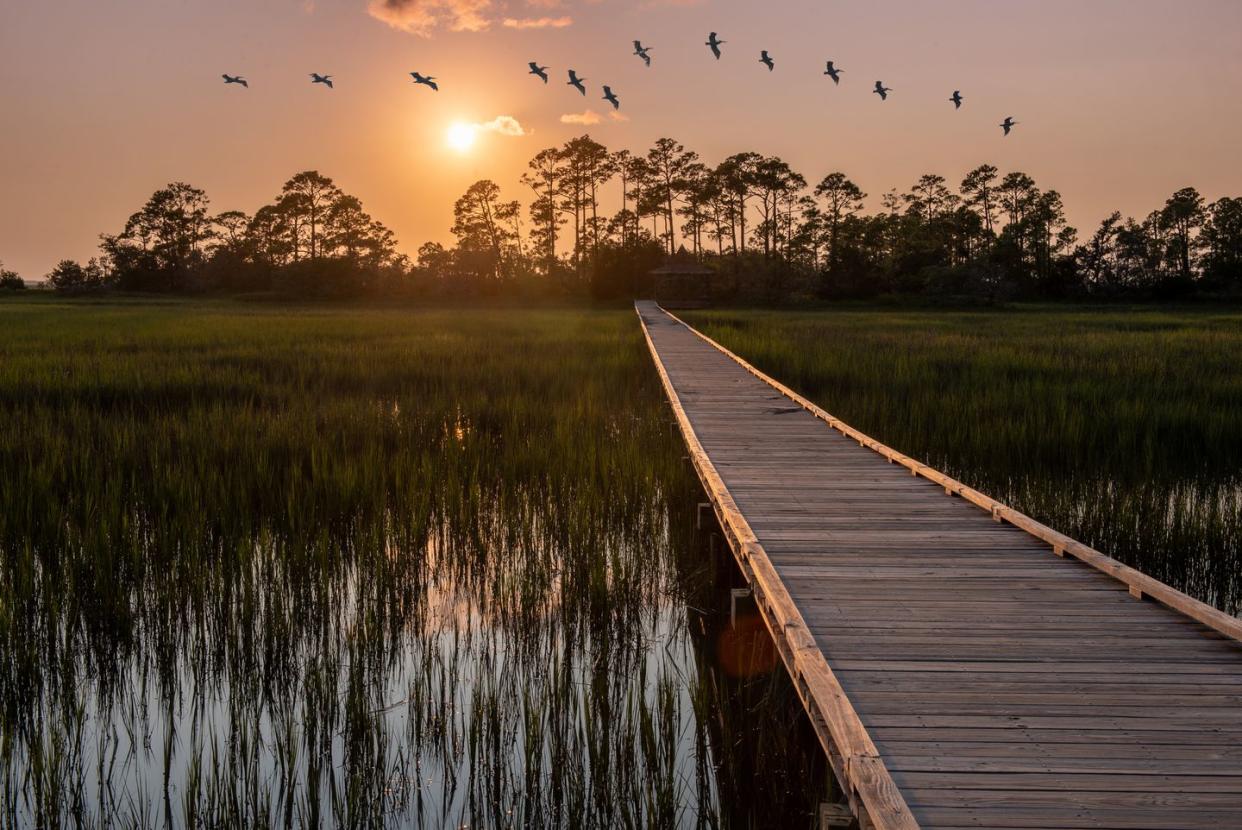 view of salt marsh hunting island state park