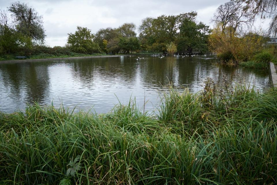 Lordship Recreation Ground (Matt Writtle)