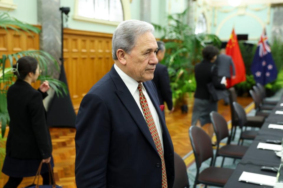 Winston Peters has used the song at public events and used the song’s lyrics “I get knocked down, but I get up again” in his speeches.. (Getty Images)