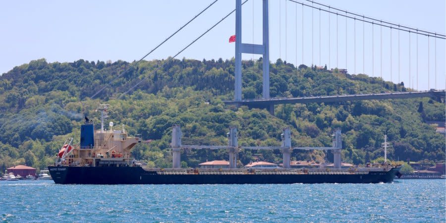 The ship Sailor Pozinich, on which Russia could carry stolen Ukrainian grain, in the Bosphorus on May 22, 2022