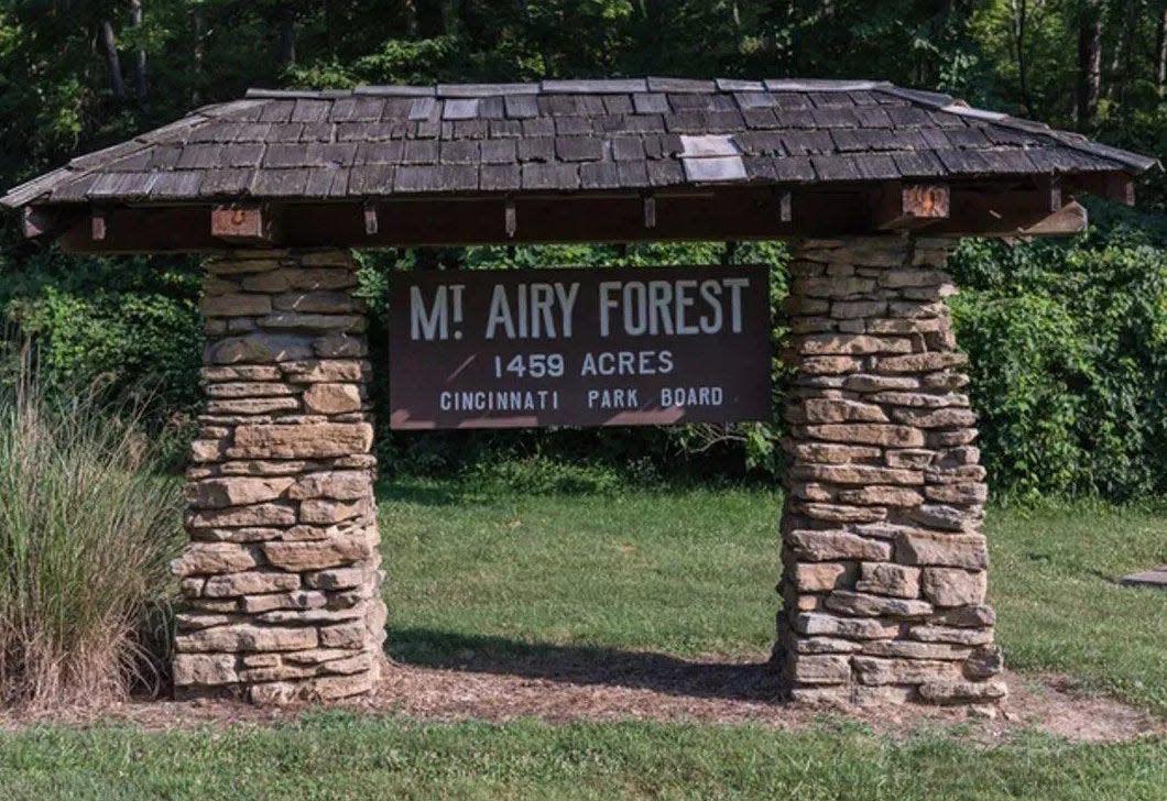 Mount Airy Forest, the largest of Cincinnati city parks, allows bow hunting of deer in seven zones.