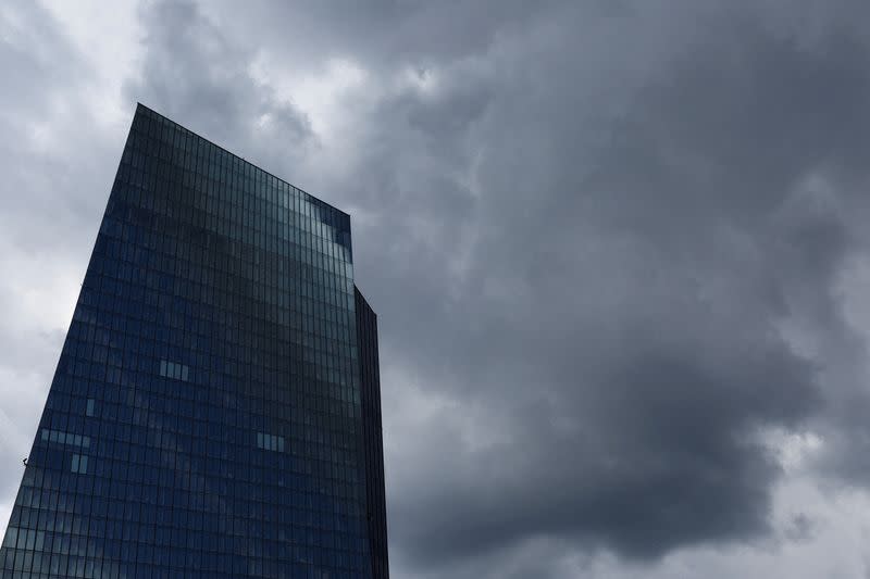 FILE PHOTO: European flags are seen in front of the ECB building, in Frankfurt