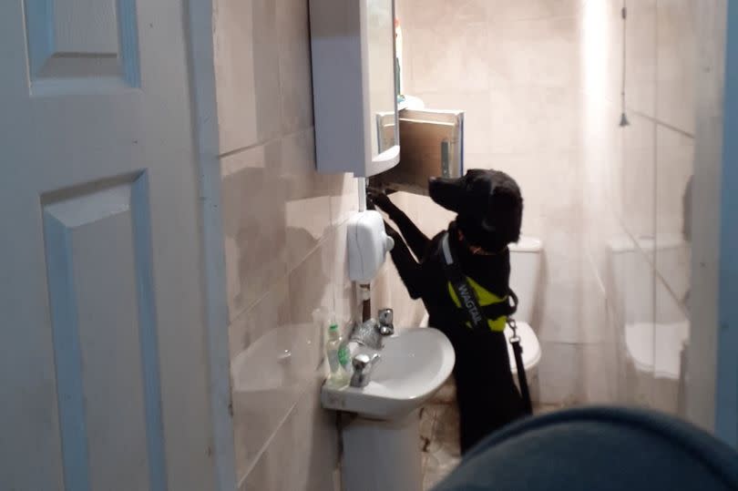 A hidden storage area in a shop toilet