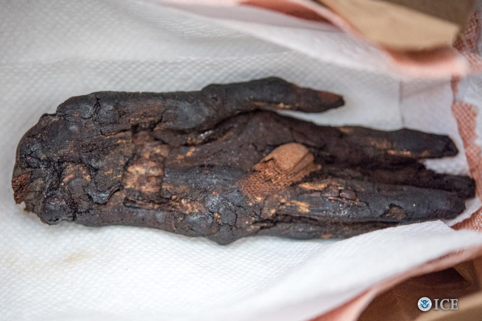 This stolen or looted mummy hand, dating to the eighth century B.C., was brought into the United States from Egypt. <cite>John Denmark/U.S. Immigration and Customs Enforcement</cite>