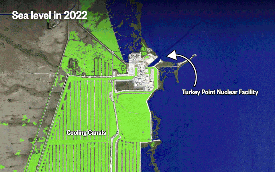 Satellite maps of the Turkey Point Nuclear Facility and the sea levels in 2022, the projected flooding in 2050, and possible annual flooding in 2100. (National Oceanic and Atmospheric Administration’s Sea Level Rise Viewer)