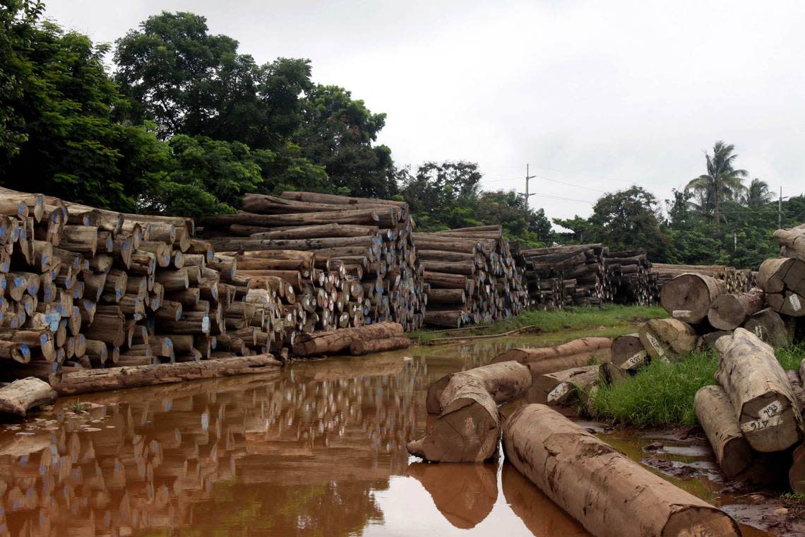 A pile of teak logs are seen in Yangon, Myanmar on June 5, 2011, in Yangon, Myanmar. (AP Photo/Khin Maung Win)